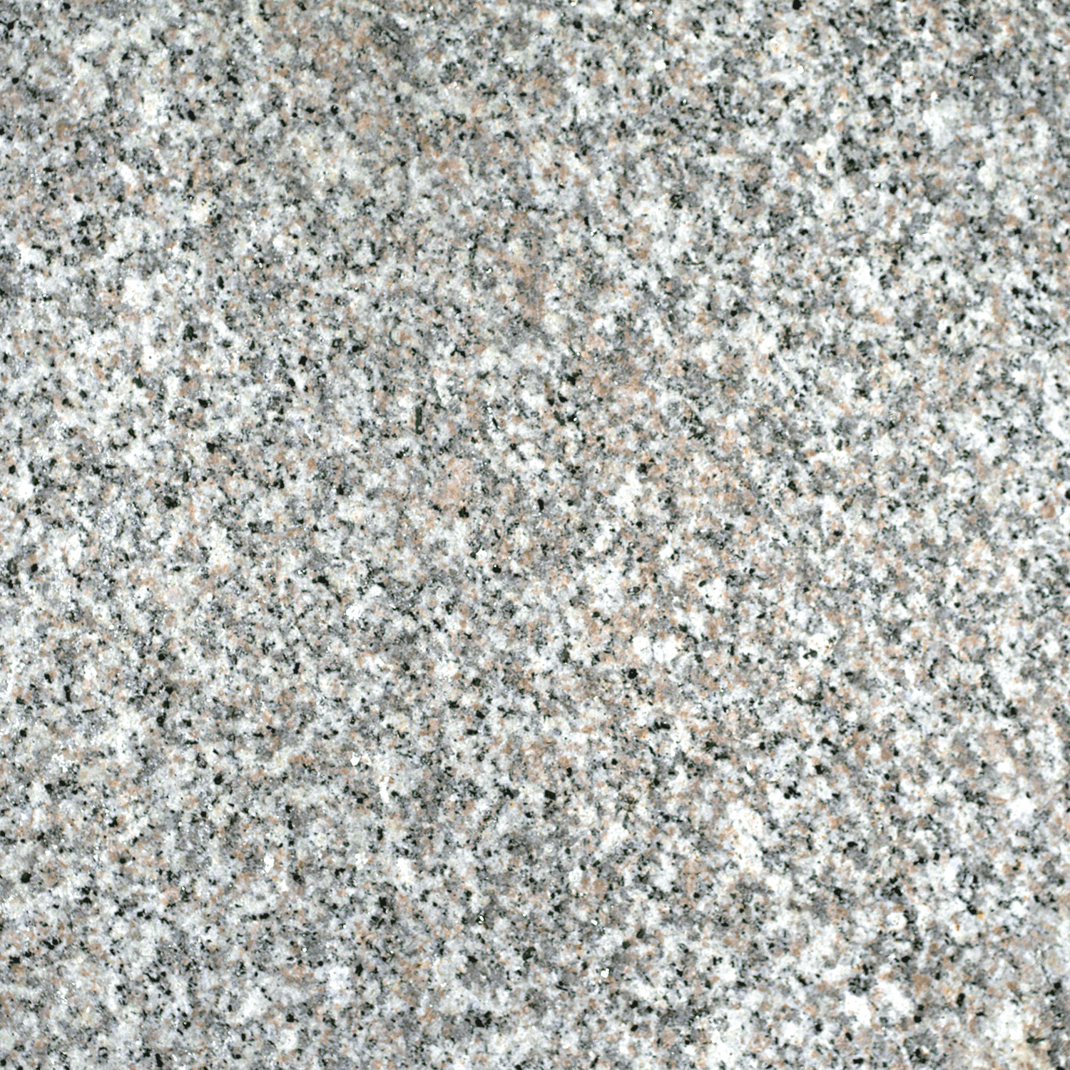Sandstorm White